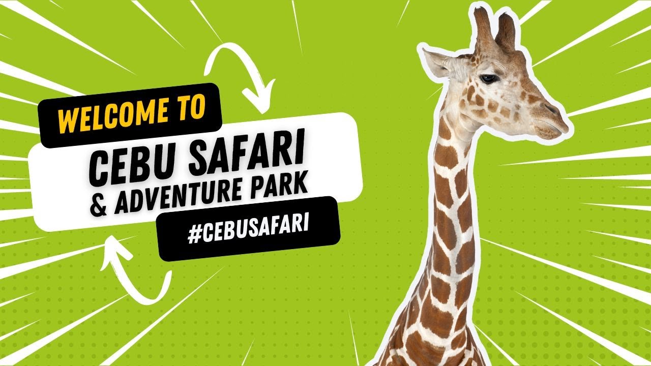 Cebu Safari Adventure Park Philippines YouTube Cebu Safari Adventure Park Philippines YouTube