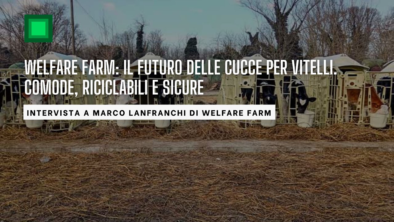 Welfare Farm: un nuovo materiale per le cucce dei vitelli