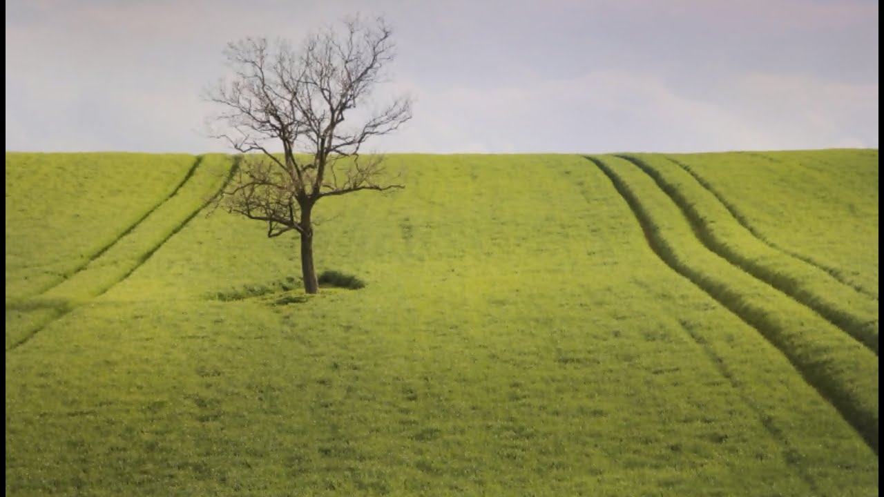 Bilanční výstava fotografií Ohlédnutí