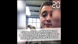 Gérald Darmanin appelle à adopter des animaux avec une perruche sur l'épaule