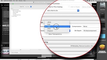 THETA Z1 Plug-in Installation Tutorial(Step #1)