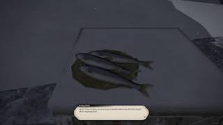 Final Fantasy XIV (FF14): Fishing Quest: The Icepick Challenge