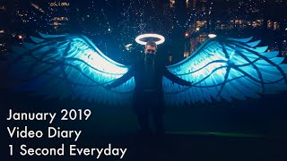 1 Second Everyday, Video Diary, January 2019