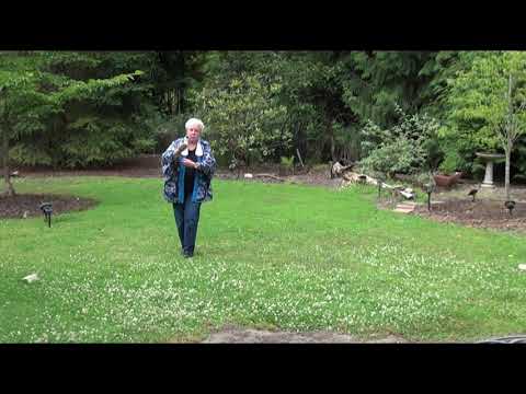 OBT Teach Pokemon Ondo