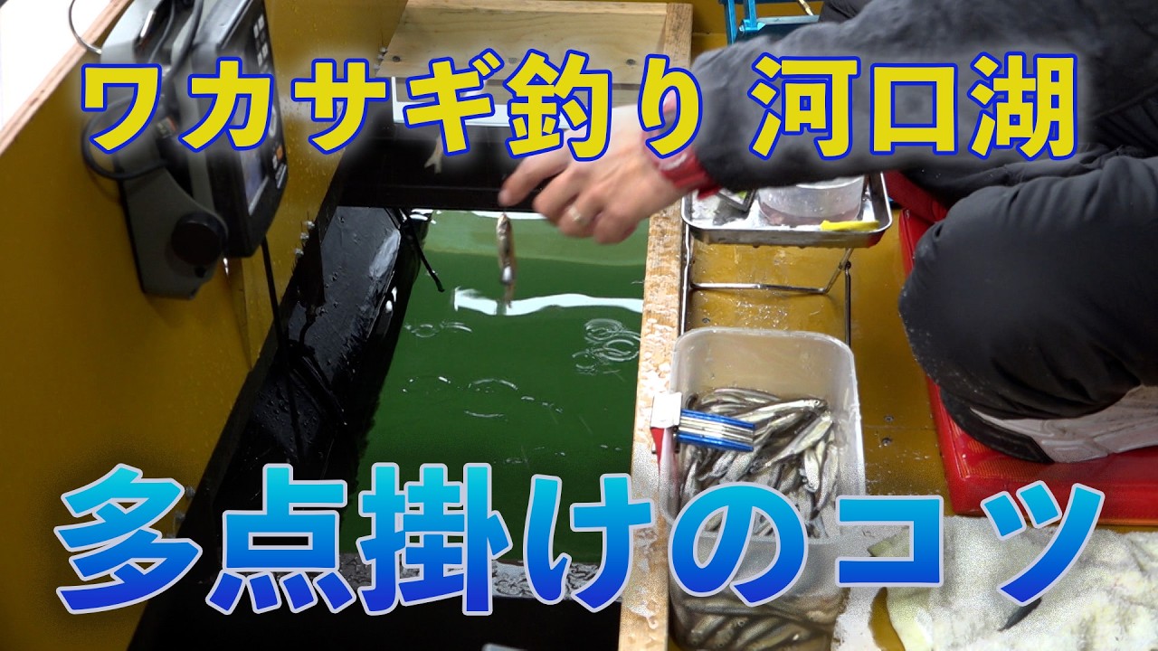 ワカサギ釣り 多点掛けのコツ