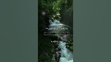 سورة فصلت | القرآن الكريم #ارح_قلبك #اكسبلور #قران_كريم #راحة_نفسية #طمأنينة #قرآن