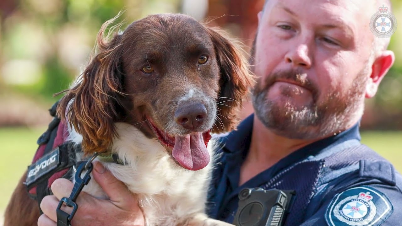 Uploads from Queensland Corrective Services