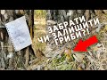 Нахабство в лісі на Київщині: хтось привласнив гриби