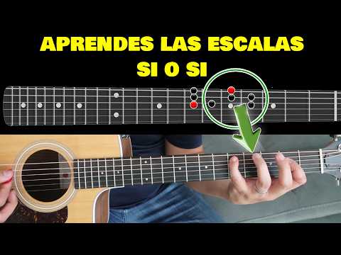 Después de este video entenderás las escalas para siempre ✅🔥