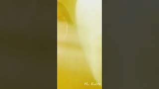 Jigidi Killaadi Whatsapp Status With Full Screen