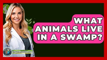 What Animals Live In A Swamp? - Earth Science Answers