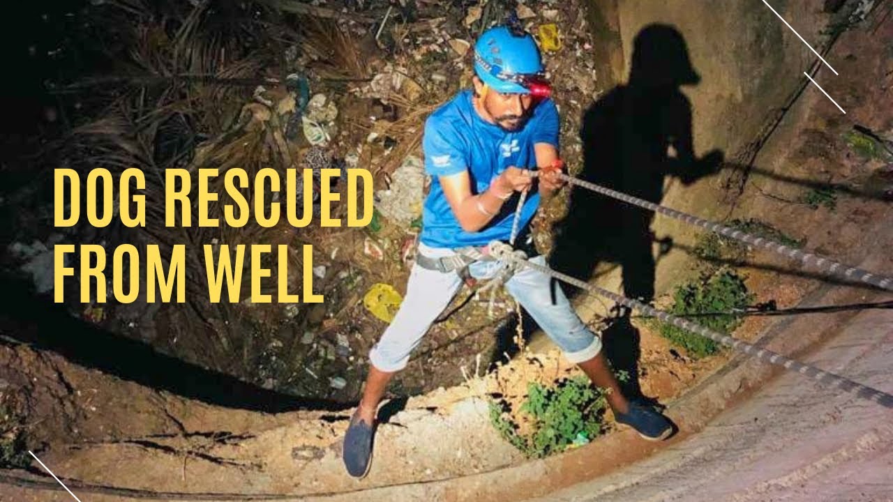 Dog rescued from well at Siddipet YouTube