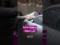 سقوط صخرة من موقع مشروع قاسيون على سيارة في منطقة خورشيد ثاني، مقابل وحدة مياه الفيجة، يطرح تساؤل