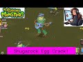 Shugarock Egg Crack! MSM Stream