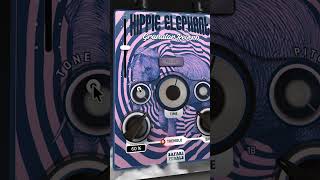 Wild Guitar with the Hippie Elephant