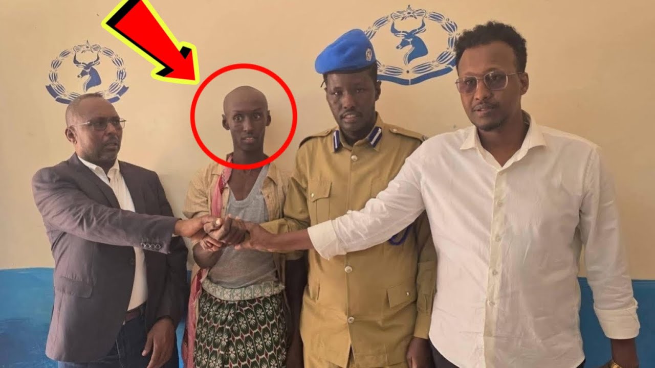 ЗАБАВНЫЙ ФИЛЬМ