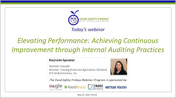 Elevating Performance: Achieving Continuous Improvement through Internal Auditing Practices