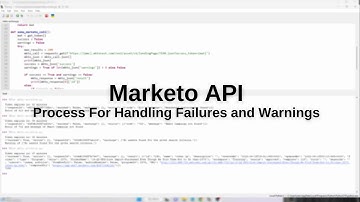 Marketo API - Process For Handling Errors and Warnings in Python