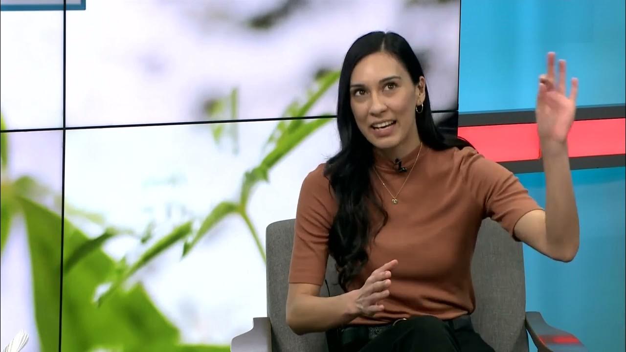 Explore 701 Wilton Archery YouTube