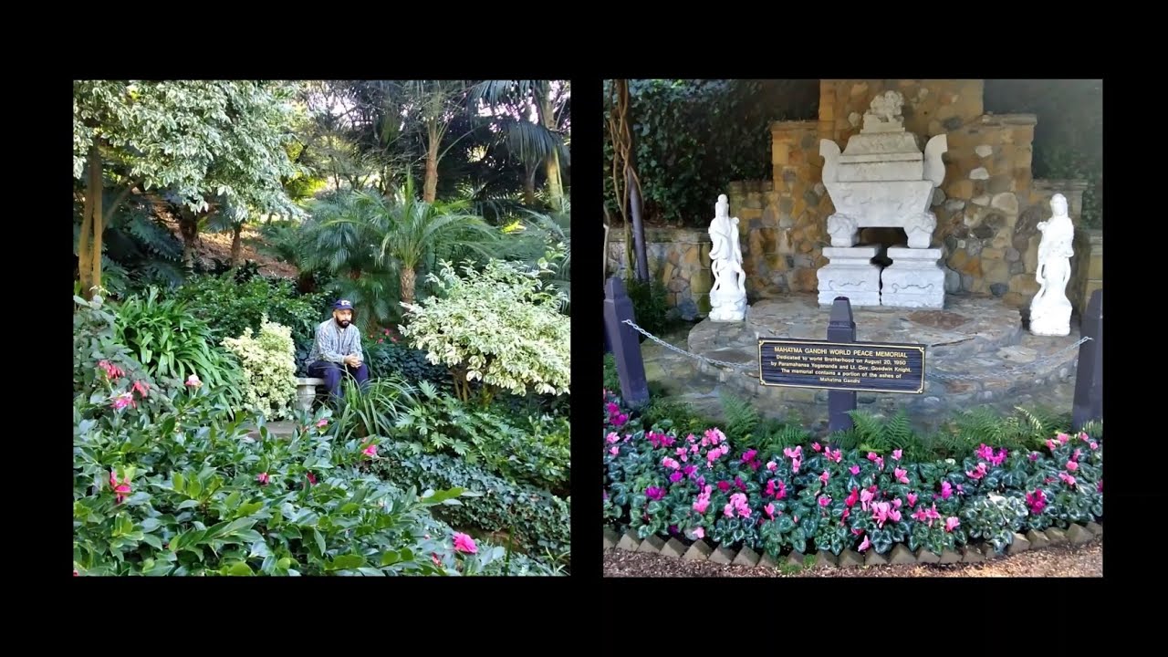 Radamiz - New Faith (Official Video)