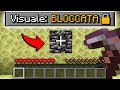 È possibile finire Minecraft SENZA MUOVERE LA VISUALE?