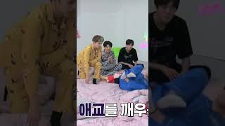 Reaction Treasure On Dooby And Yadam Asahi treasure shorts asahi yamaha doobydobap