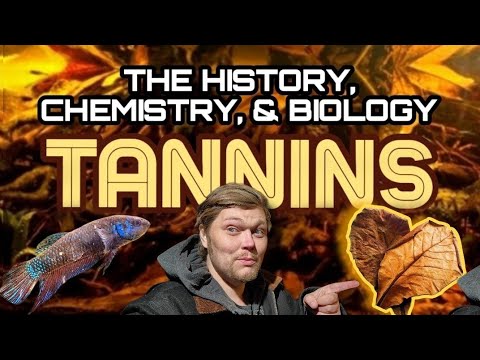 TANNINS: A DEEP