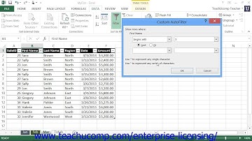 Microsoft Office Excel Tutorial 2013 Using Autofilters 22.3 Employee Group Training