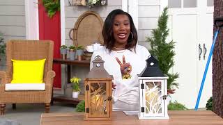 Luminara Flameless Dragonfly 16" Lantern on QVC