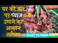 घर की छत पर प्याज उगाने का आसान तरीका | How To Grow Onions At Home In Hindi |  START TO FINISH
