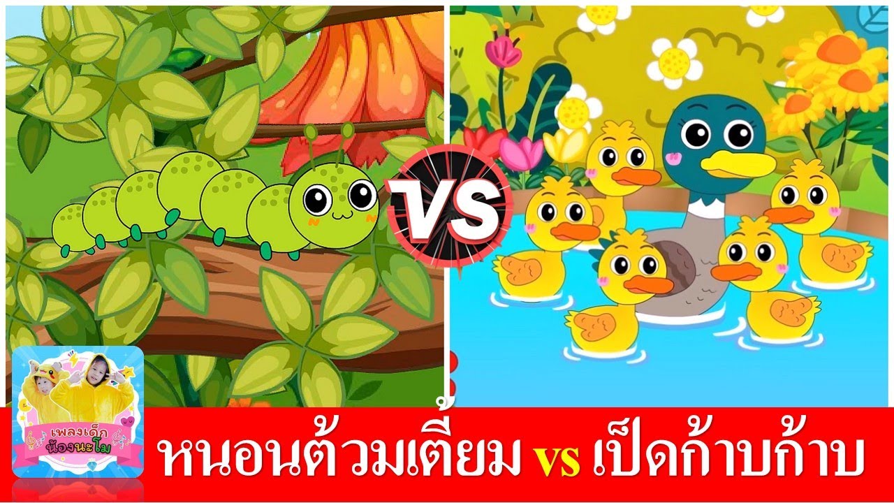 หนอนต้วมเตี้ยม vs เป็ดก้าบก้าบ