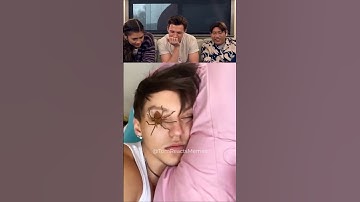 Tom Holland react try not to laugh part 43 #tomholland #trynottolaugh #funny #reaction