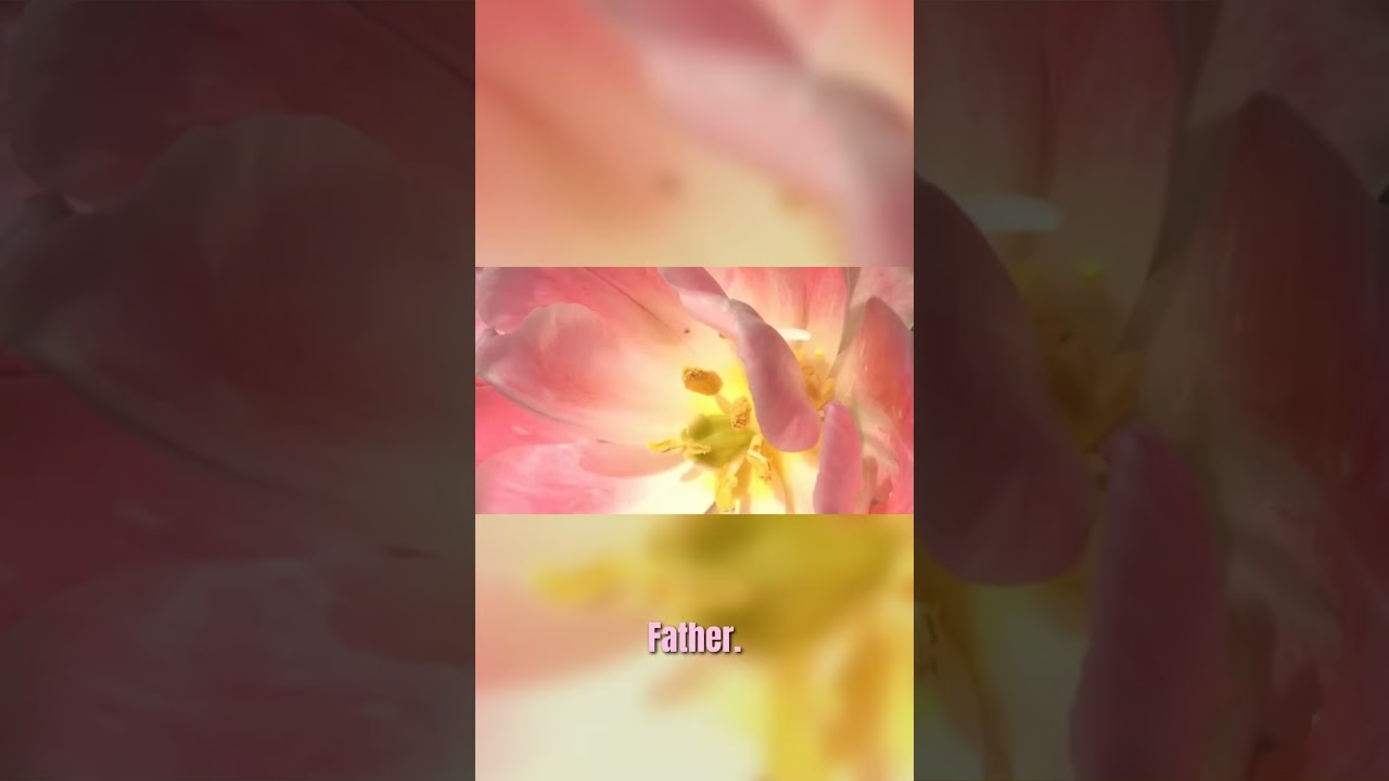 Become Light as a Feather: Replenish with Pure Light