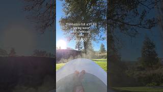 Soak In Pure Spring Water, Under The Trees, With The One You Love No Chemicals, Just Bliss