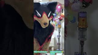 【fursuit/獣化#107】水曜のもふもふタイム🐾【ジュージュー/JuuJuu】#fursuit #獣化 #shorts #furry