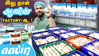 ஆவின் Factory-க்குள் என்ன நடக்குது தெரியுமா ? Aavin Factory Secrets Revealed | Ultimate Factory Ep1