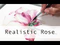 Realistic Rose painting in Watercolor