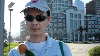 Chewey At Ferry Building- San Francisco -4