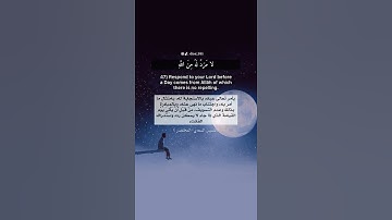 ﴿استَجيبوا لِرَبِّكُم﴾ سورة الشورى اسلام صبحي حالات واتس