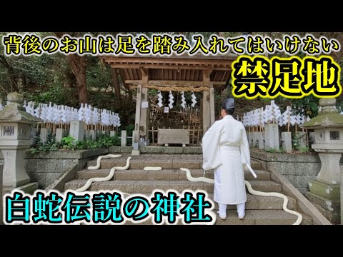 白蛇伝説の神を祀り,出雲の龍神も祀る,禁足地のある神社【静岡県菊川市 大頭龍神社】