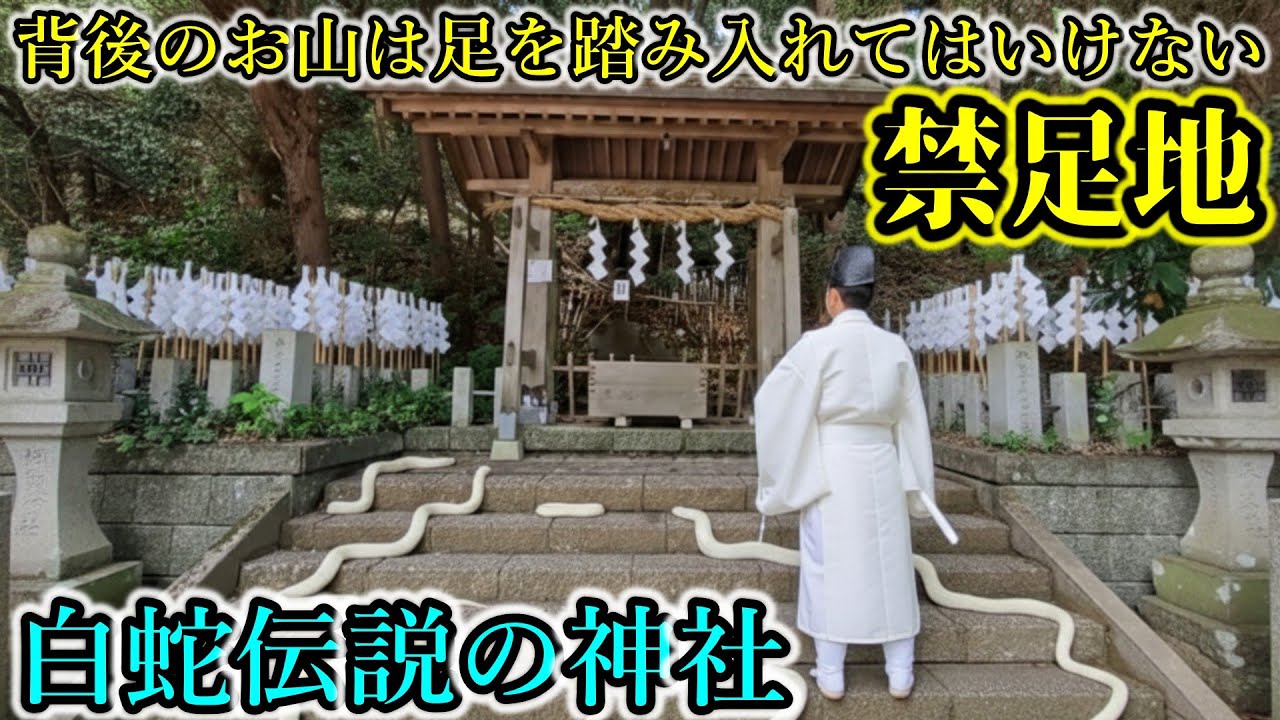 白蛇伝説の神を祀り,出雲の龍神も祀る,禁足地のある神社【静岡県菊川市 大頭龍神社】