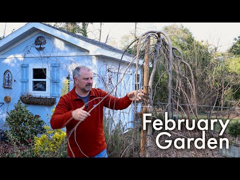 Vídeo: Lista de tarefas de jardinagem: tarefas mensais de jardinagem para fevereiro