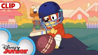 Bluey Season 3 'Cricket' Episode Clip | @disneyjunior x @BlueyChannel