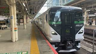 E257系5000番台OM91編成集約臨発車(MHあり) 東京駅