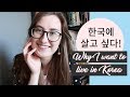 남아공사람이 한국에 살고 싶은 이유 6가지 | Reasons I'd like to live in Korea