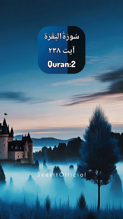 Surah Al-Baqarah 238 | Guard Your Prayers | Beautiful Quran Translation