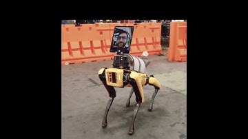2020 Spot the $75,000 Robot Dog🔥🔥🔥