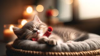 Cat soothing music: Music to relieve cat separation anxietyMusic to induce sleep in cats,