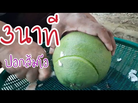 วีดีโอ: วิธีการหั่นส้มโอ