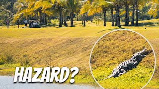 Golfing with CROCODILES in Vallarta, Mexico @ Vidanta Golf